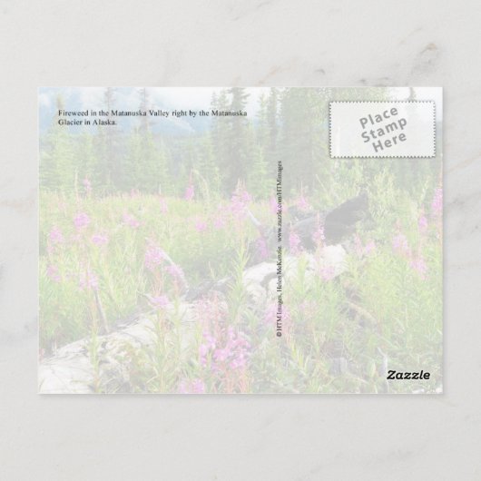 Vuurbloemen in Matanuska Valley, Alaska Briefkaart (Achterkant)