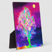 Vuurboom Fotoplaat (Zijkant)