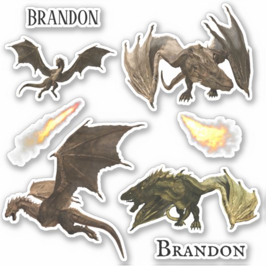 Vuurbrekende draak Wyvern Aangepaste set Sticker (Voorkant)