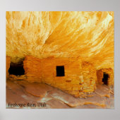 Vuurhuisvuil Poster (Voorkant)