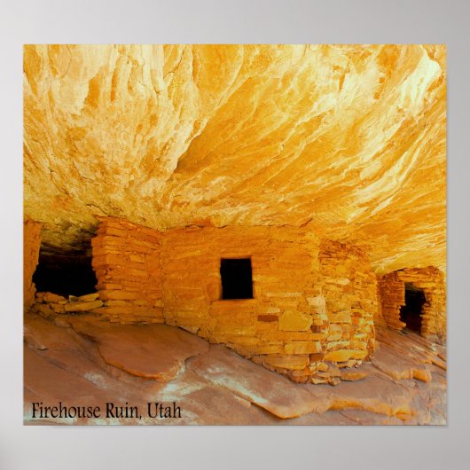 Vuurhuisvuil Poster (Voorkant)