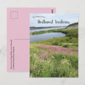 Vuurkruid in Tsigehtchic Northwest Territories Briefkaart (Voorkant / Achterkant)