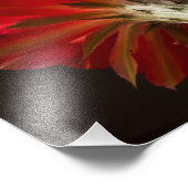 Vuurlicht overal foto afdruk (Hoek)