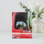 Vuurman's beste vriend briefkaart (Staand voorkant)