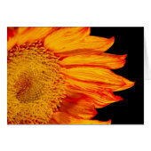 Vuuroranje zonnebloem leeg van binnen (Voorkant Horizontaal)