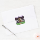 Vuurpaard Vierkante Sticker (Envelop)