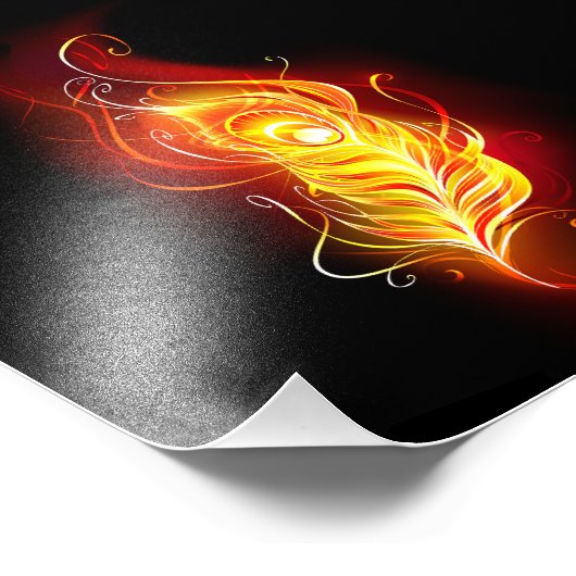 Vuurpacock Veer Foto Afdruk (Hoek)