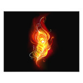 Vuurpacock Veer Foto Afdruk (Voorkant)