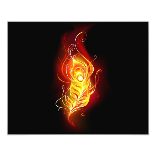 Vuurpacock Veer Foto Afdruk (Voorkant)