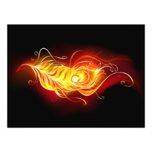 Vuurpacock Veer Foto Afdruk