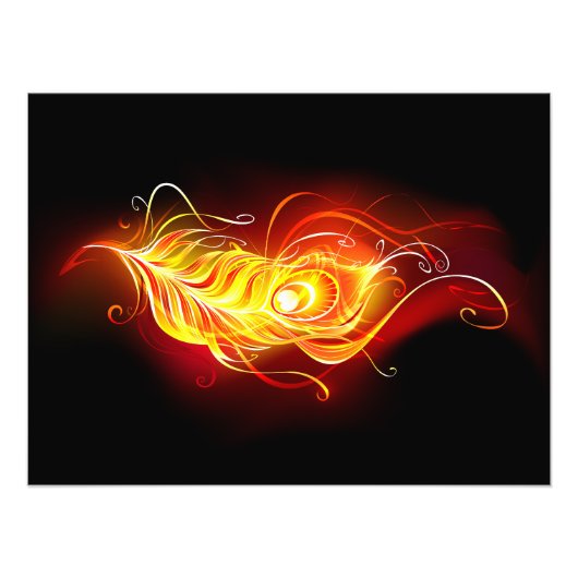 Vuurpacock Veer Foto Afdruk (Voorkant)