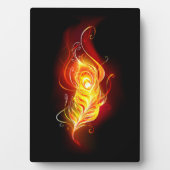 Vuurpacock Veer Fotoplaat (voorkant)