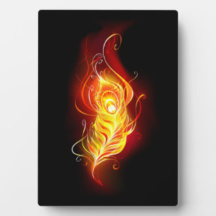 Vuurpacock Veer Fotoplaat