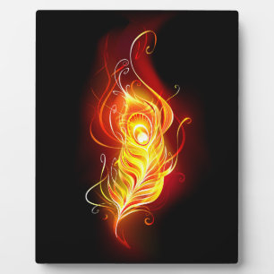 Vuurpacock Veer Fotoplaat