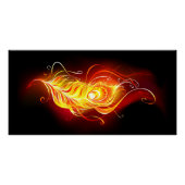 Vuurpacock Veer Perfect Poster (Voorkant)