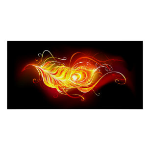 Vuurpacock Veer Perfect Poster