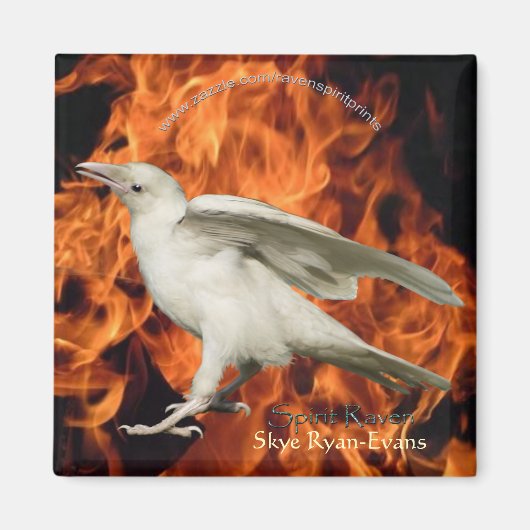 VUURRAVENmagneet Magneet (Voorkant)