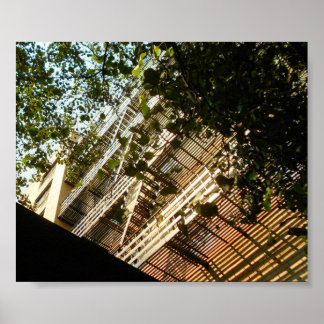 Vuurschilfering in schaduw en zon poster