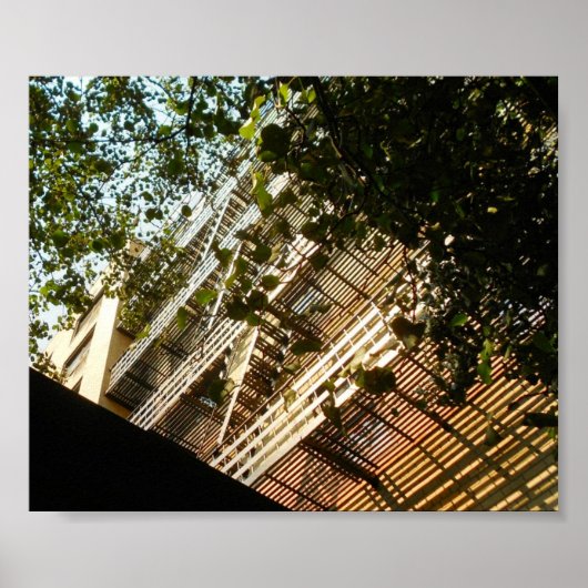 Vuurschilfering in schaduw en zon poster (Voorkant)