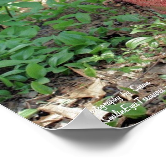 Vuurstofremmer voor de bloem poster (Hoek)