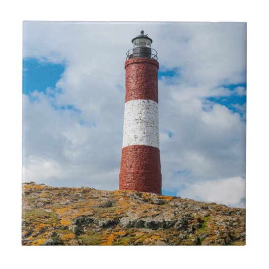 Vuurtoren Beagle Channel Tegeltje (Voorkant)