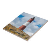 Vuurtoren Beagle Channel Tegeltje (Zijkant)