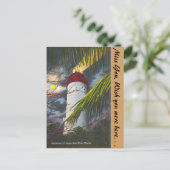 Vuurtoren bij nacht Key West, Florida Briefkaart (Staand voorkant)