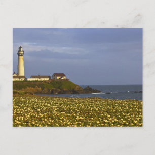 Vuurtoren bij Pigeon Point State Beach in San Briefkaart
