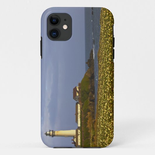 Vuurtoren bij Pigeon Point State Beach in San Case-Mate iPhone Case (Achterkant)