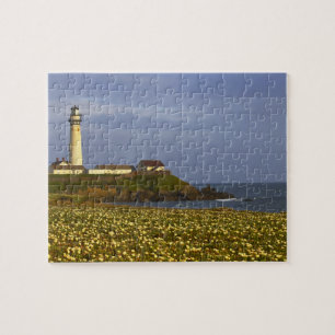 Vuurtoren bij Pigeon Point State Beach in San Legpuzzel