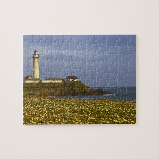 Vuurtoren bij Pigeon Point State Beach in San Legpuzzel (Horizontaal)