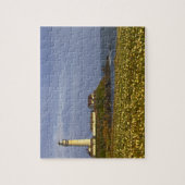 Vuurtoren bij Pigeon Point State Beach in San Legpuzzel (Verticaal)