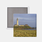 Vuurtoren bij Pigeon Point State Beach in San Magneet (Voorkant / Achterkant)
