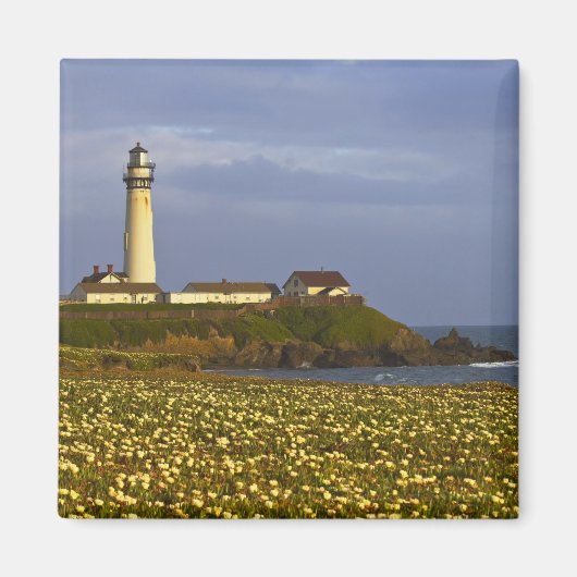 Vuurtoren bij Pigeon Point State Beach in San Magneet (Voorkant)
