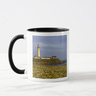 Vuurtoren bij Pigeon Point State Beach in San Mok