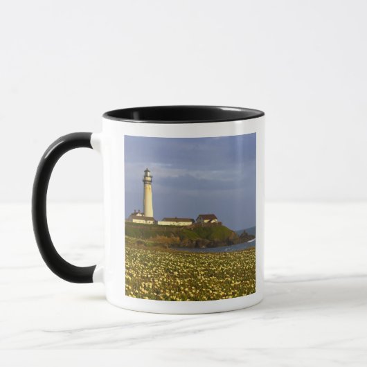 Vuurtoren bij Pigeon Point State Beach in San Mok (Links)