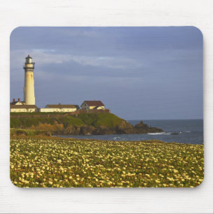 Vuurtoren bij Pigeon Point State Beach in San Muismat