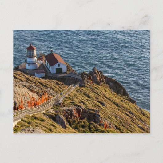 Vuurtoren bij Point Reyes National Seashore Briefkaart (Voorkant)