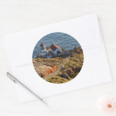 Vuurtoren bij Point Reyes National Seashore Ronde Sticker (Envelop)