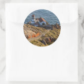 Vuurtoren bij Point Reyes National Seashore Ronde Sticker (Tas)