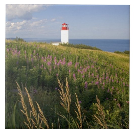 Vuurtoren bij St. Martins, New Brunswick, 2 Tegeltje (Voorkant)