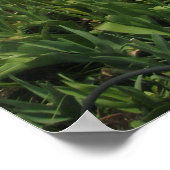 Vuurtoren, bloemen en oceaandruk poster (Hoek)