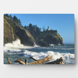 Vuurtoren Cape Disappointment, Washington Fotoplaat