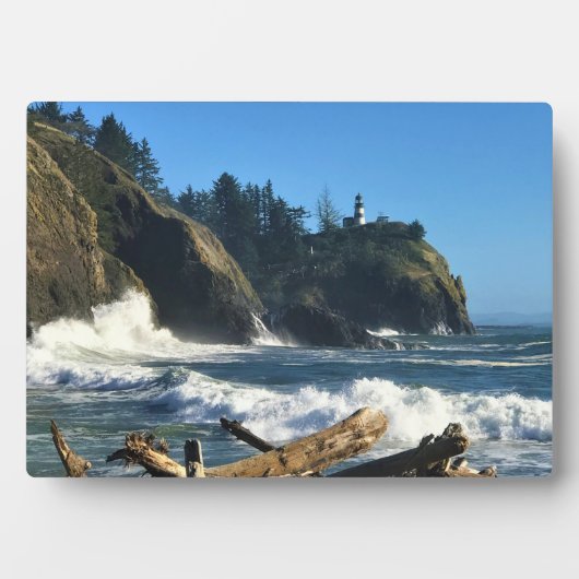 Vuurtoren Cape Disappointment, Washington Fotoplaat (voorkant)
