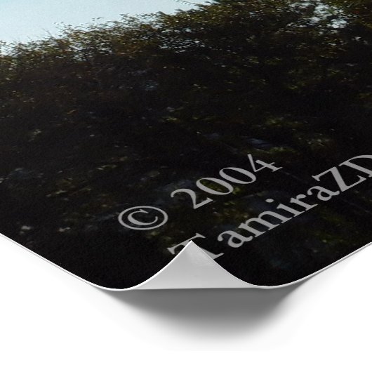 Vuurtoren, Cape May, NJ Poster (Hoek)