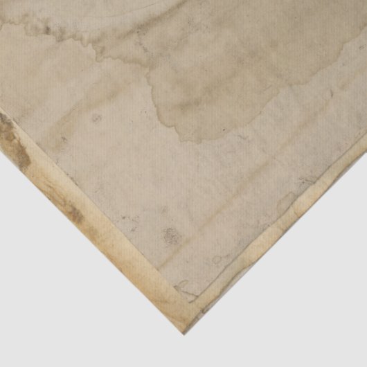 vuurtoren en ontkoppeling van vis tissuepapier (Detail)