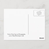 vuurtoren, Gig Harbour Washington Briefkaart (Achterkant)