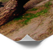 vuurtoren in Port Isabel, Tx. Poster (Hoek)