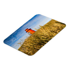 vuurtoren in Stykkisholmur, IJsland Magneet