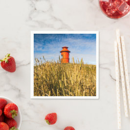vuurtoren in Stykkisholmur, IJsland Servet